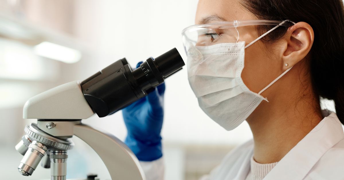 Is the Best Fadogia Agrestis Supplement Worth Taking? A Look at the Clinical Trials