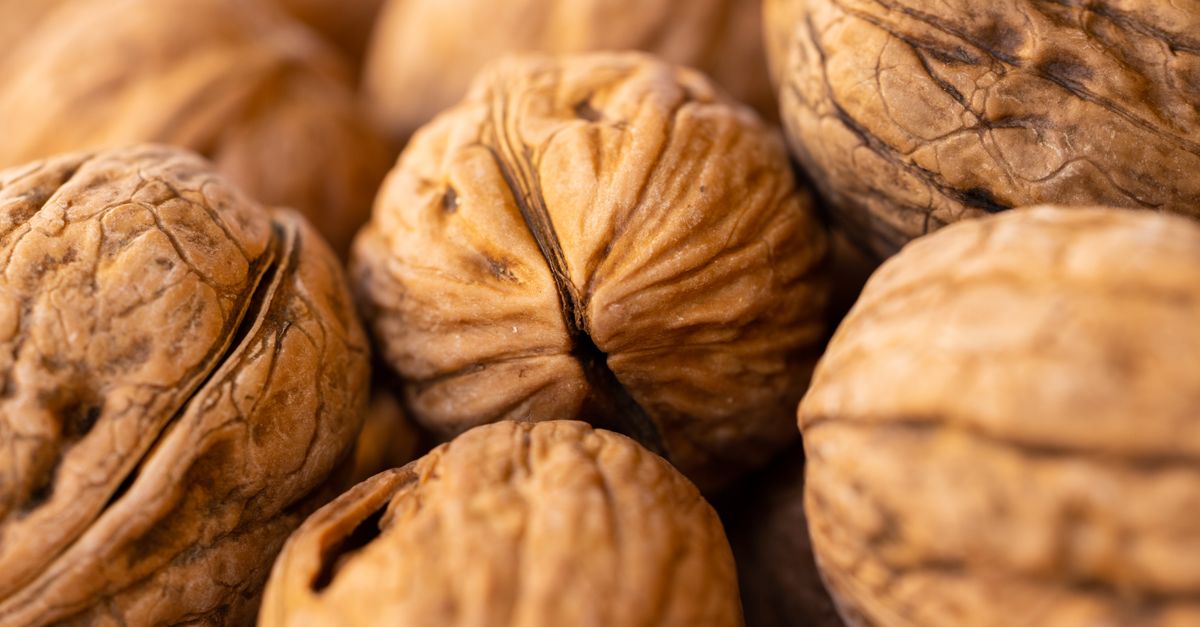 Can Diet Change ApoB?: Who Actually Benefits — and Who Should Skip It