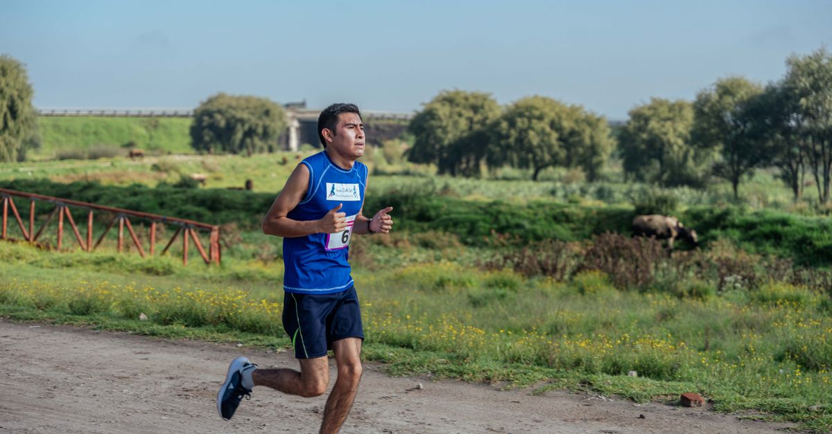 Can Exercise Lower Total Cholesterol?: What the Sleep, Stress, and Longevity Literature Suggests