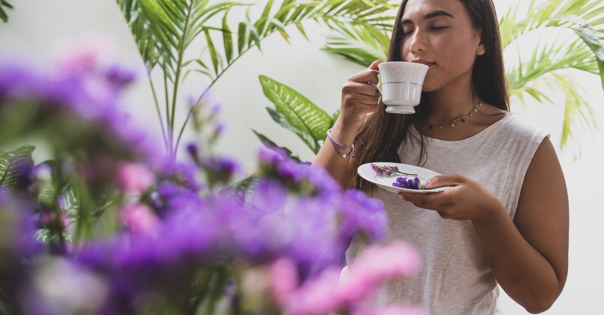 Does Black Cohosh Help with Low Mood?