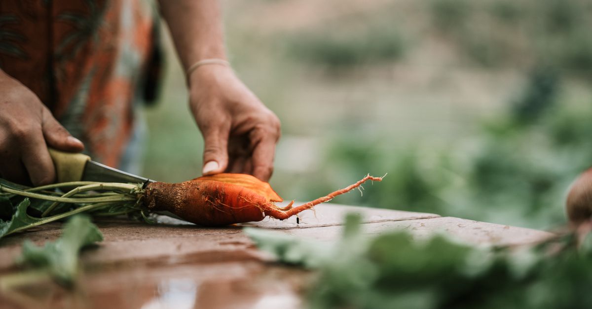 Does Maca Help with Perimenopause Symptoms?