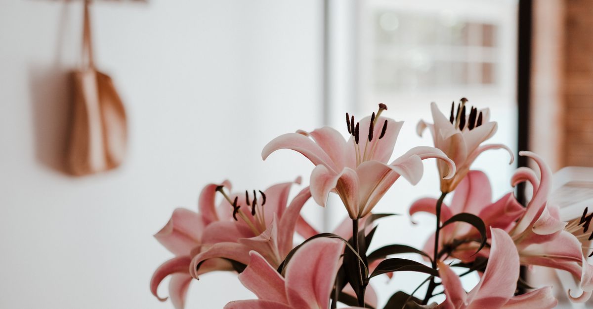 Does Magnesium Help with Postpartum Recovery?