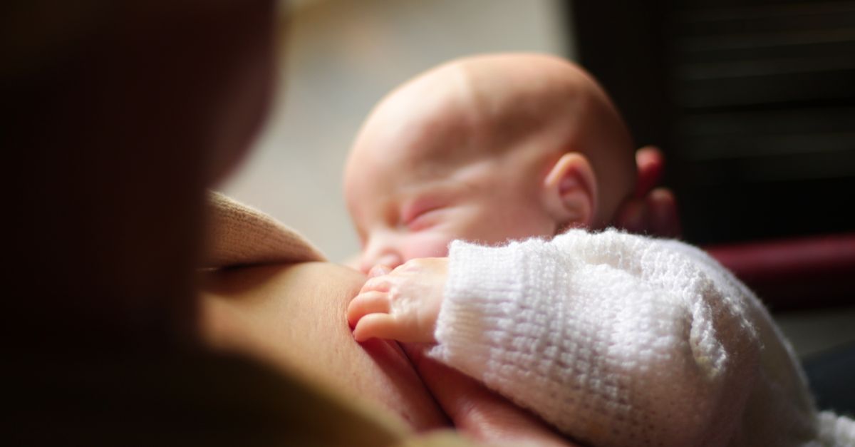 Does Probiotic Supplementation Help with Postpartum Recovery?