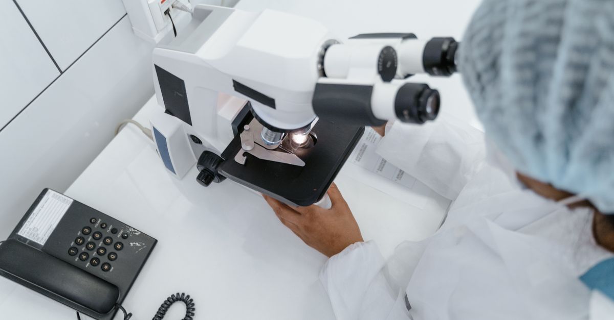 Fadogia Agrestis Safety: Dosing, Risks, and Stack Synergies