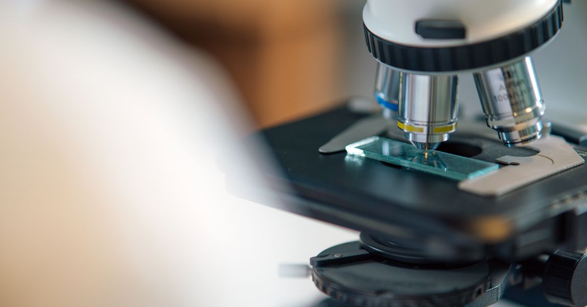 How Does GHK-Cu Work? Mechanisms, Benefits & Evidence