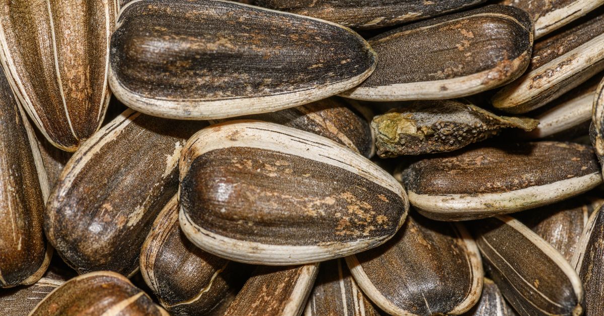 How Long Does Black Seed Oil Take to Work?