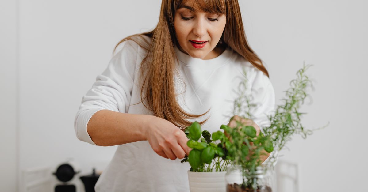 How to Balance Progesterone Naturally