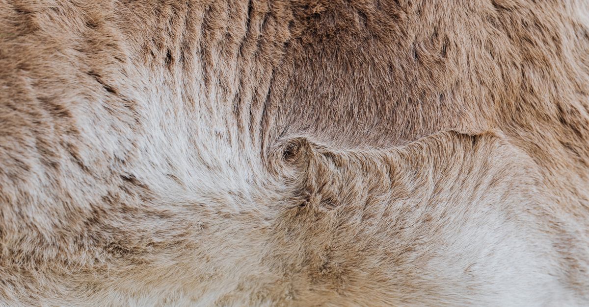 Is Dry Skin Normal in Endometriosis?