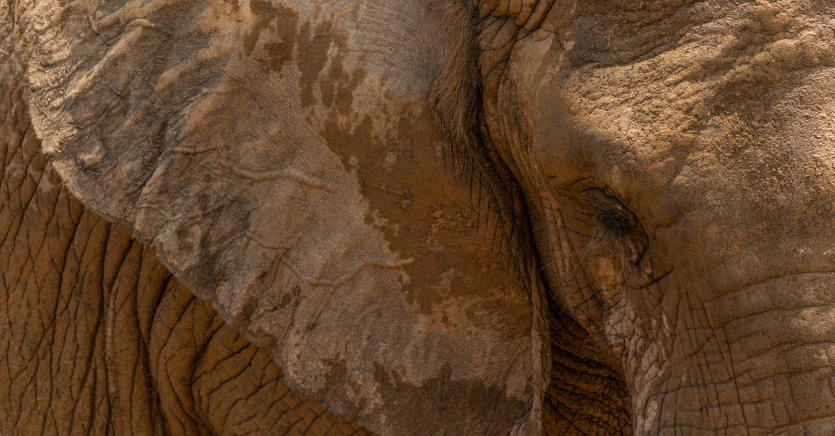 Is Dry Skin Normal with Adenomyosis?