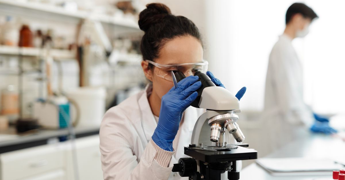 Is Ecdysterone Safe? Doses, Side Effects & What Research Shows