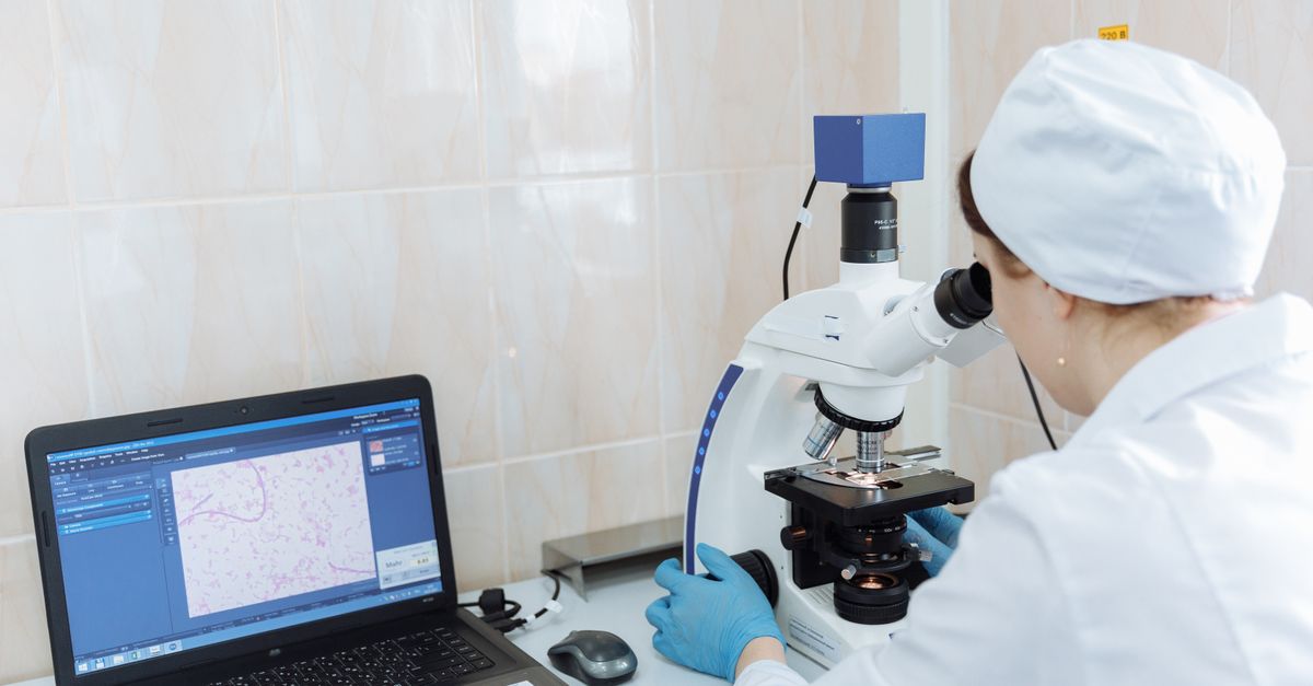 L-Theanine Overdose Symptoms: Biochemistry, Biomarkers, and Protocol