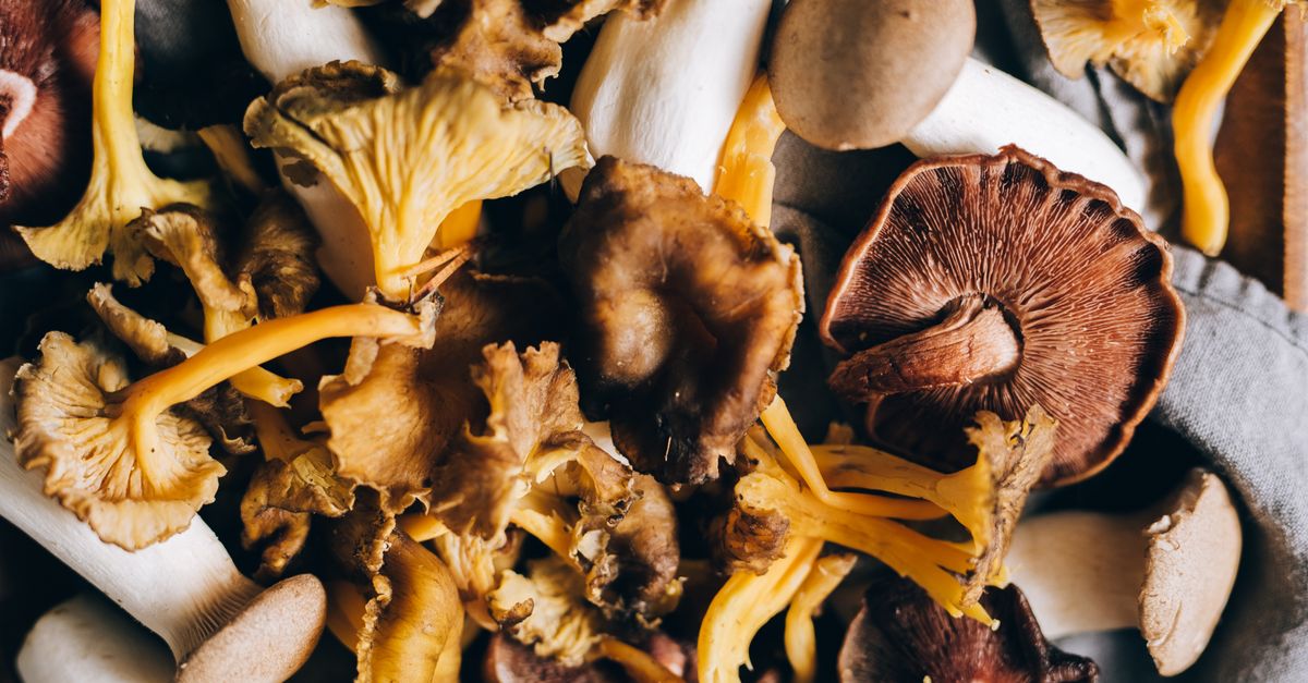 Lion's Mane Mushroom for Energy: Who Actually Benefits — and Who Should Skip It