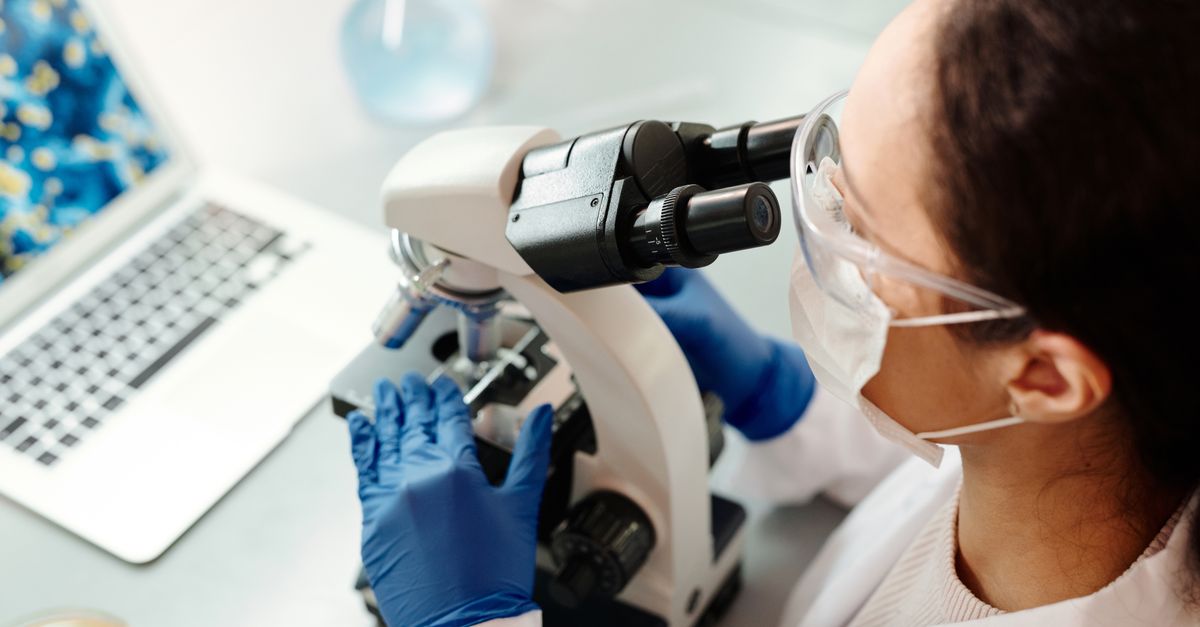 NAD Supplement Interactions: Benefits, Timing, and What to Expect