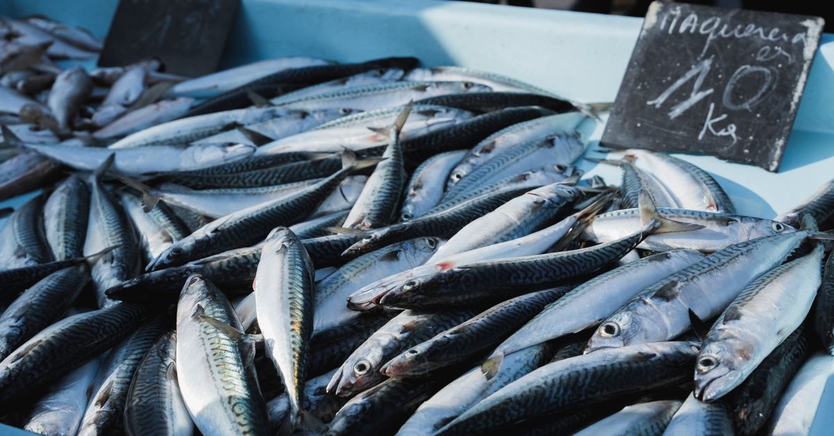 Omega 3 for Skin Health: Who Actually Benefits — and Who Should Skip It