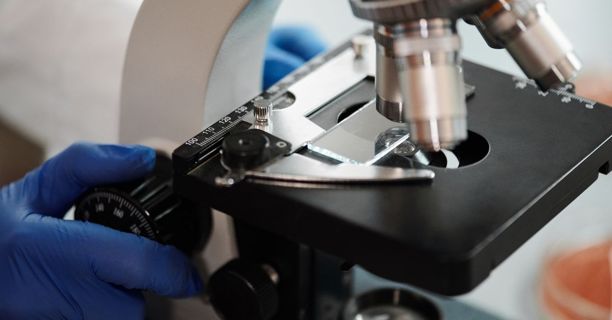 Personalized Supplement Service: Bioavailability, Stack Synergies, and Lab-Backed Dosing
