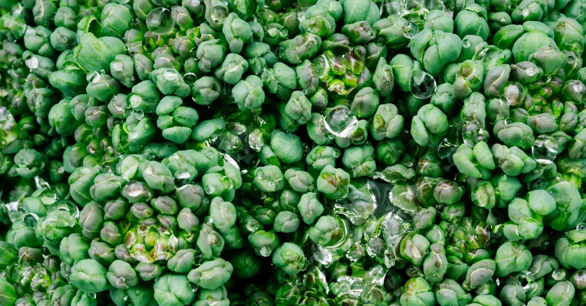Riboflavin Overdose Symptoms: A Functional-Medicine Lens on Causes and Support