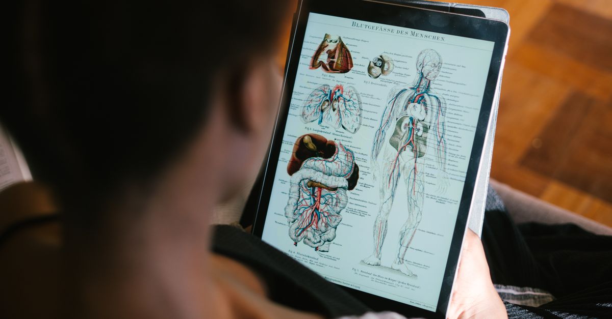 TSH: Why Your "Normal" Thyroid Result Might Not Be Optimal
