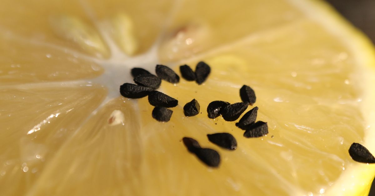 Turmeric vs Black Seed Oil: A Side-by-Side Look at the Clinical Evidence