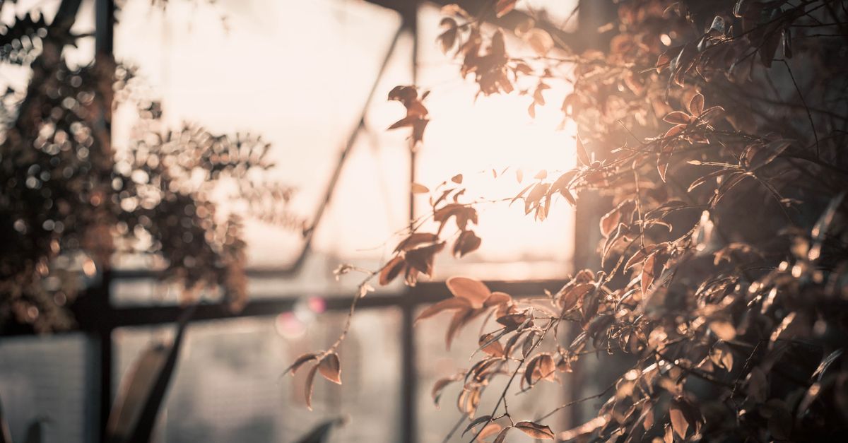 Vitamin D (25-OH): The Optimal Range Nobody Agrees On