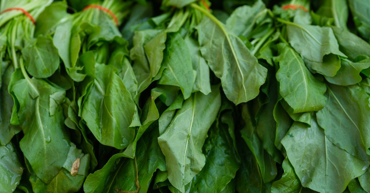 What the Research Actually Says About What Blocks Magnesium Absorption