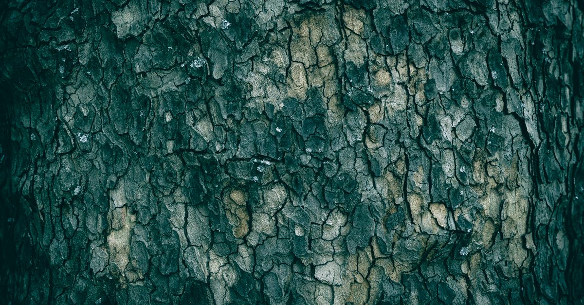 What Causes Dry Skin During a Heavy Period?