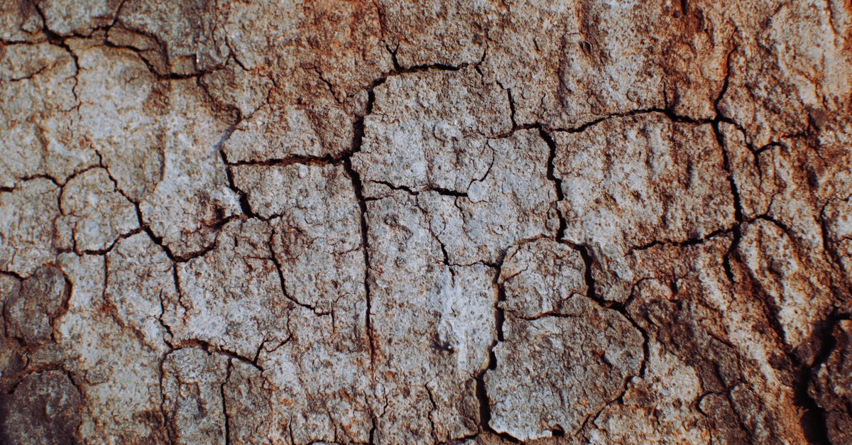 What Causes Itchy Skin When Coming Off the Pill?