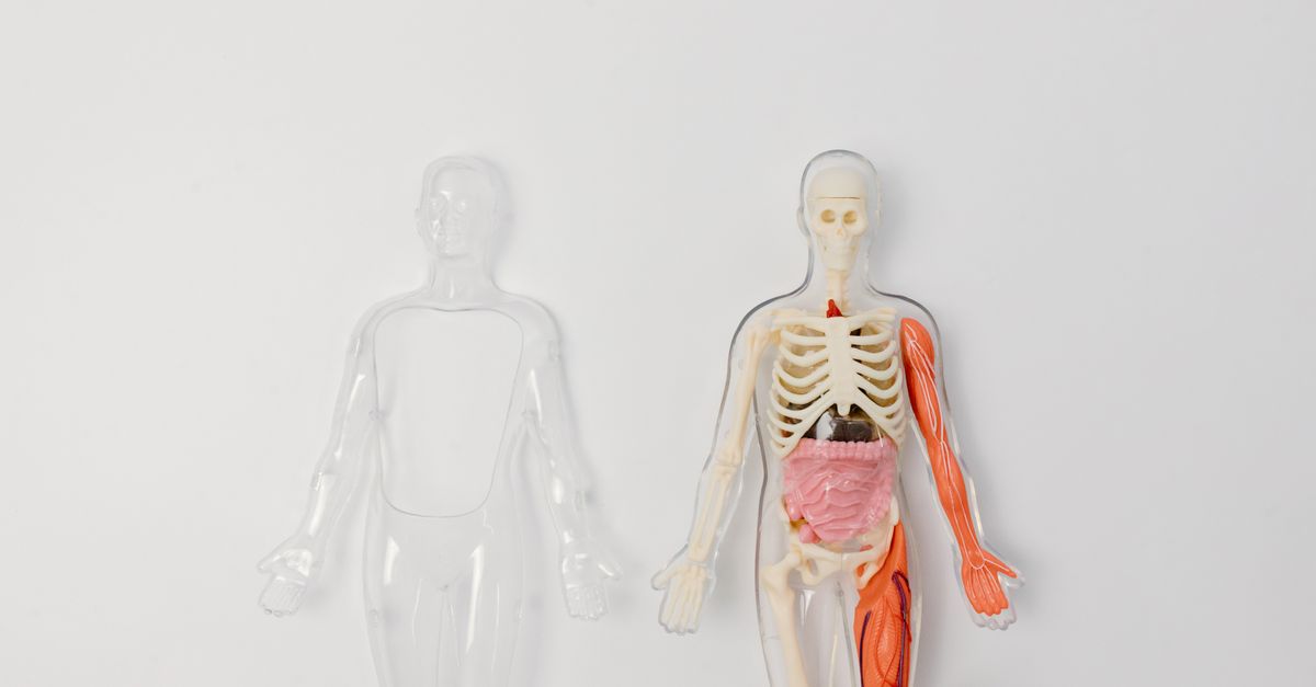 What Causes Low Thyroid Antibodies in Women?