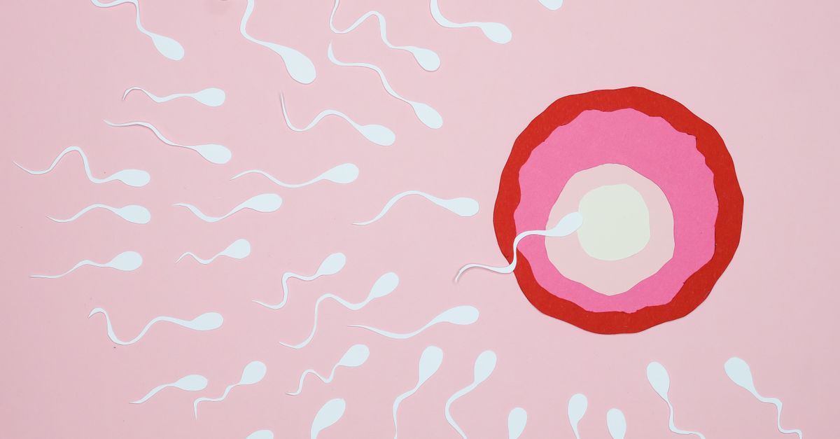 What Causes Muscle Loss in Endometriosis?