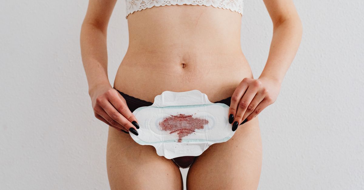 What Does SHBG Look Like at Each Phase of the Menstrual Cycle?