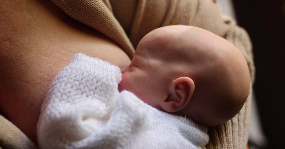 What Happens to Vitamin B12 Levels Postpartum?