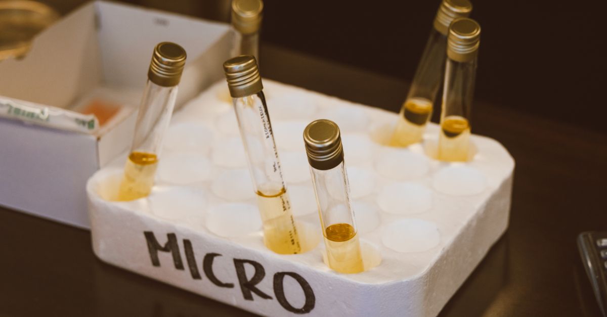 What Happens to Cholesterol in PCOS?