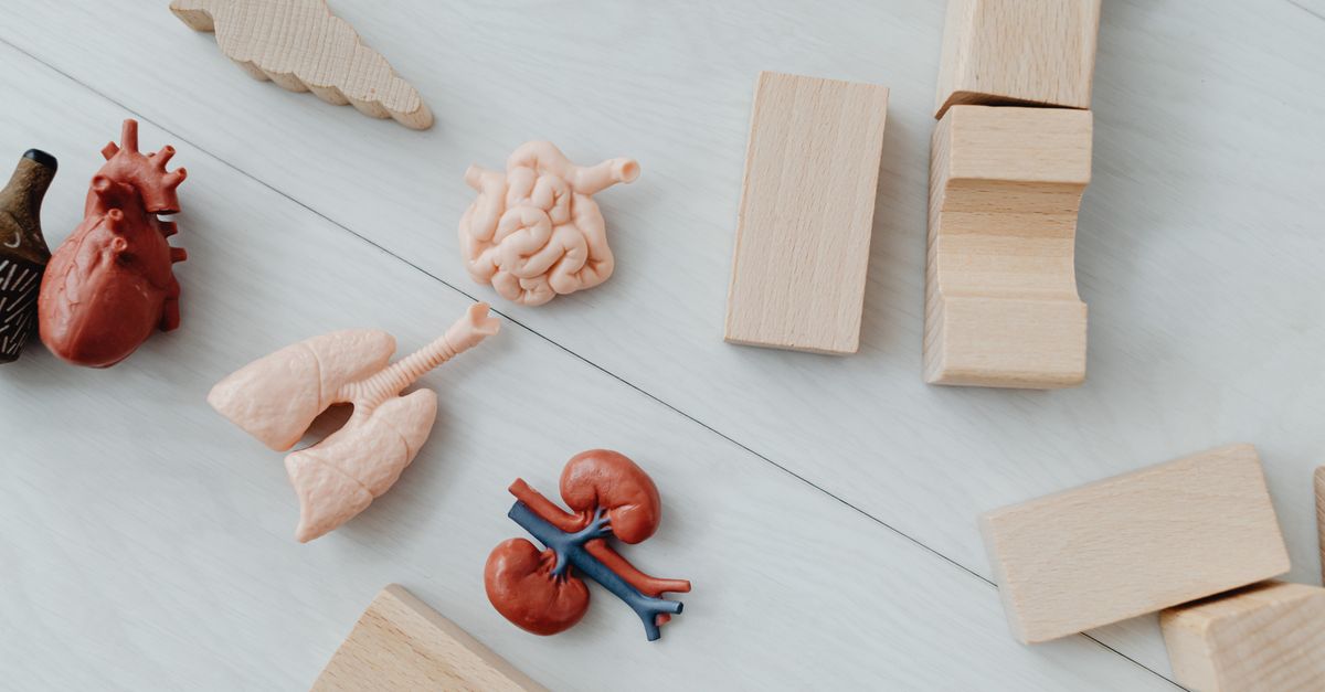 What Supplements Affect ALT Levels?